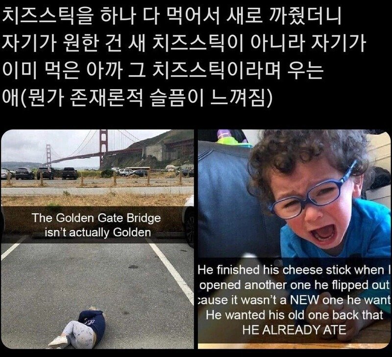 치즈스틱을 원했던 꼬마.jpg
