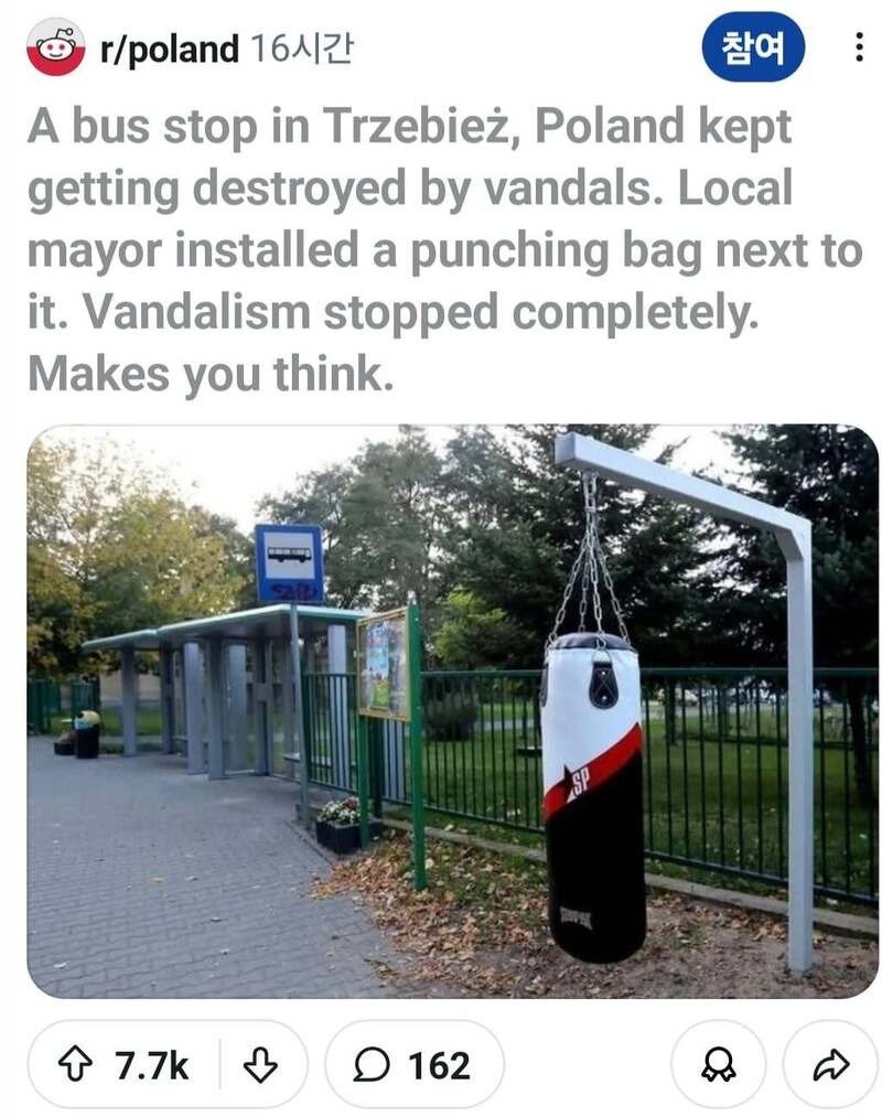 폴란드의 현실적인 버스정류장 보호법