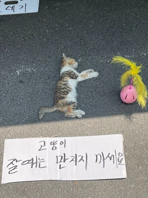 잘때는 만지지 마세요