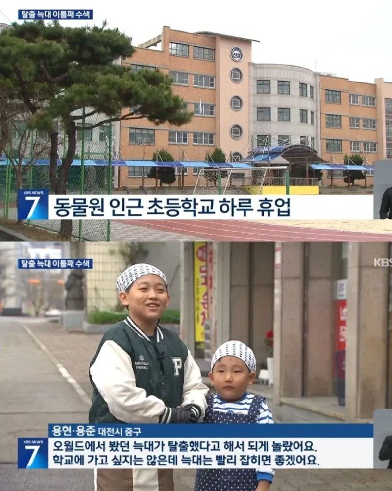 대전 늑대 탈출로 휴업을 겪은 시민 인터뷰