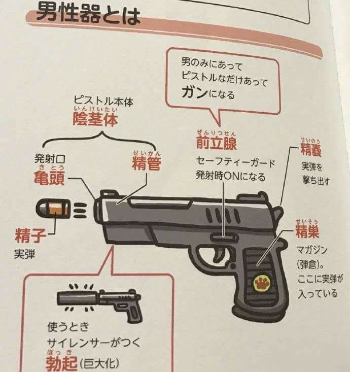 일본 성교육 근황