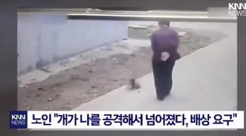 개가 공격했다고 주장한 노인