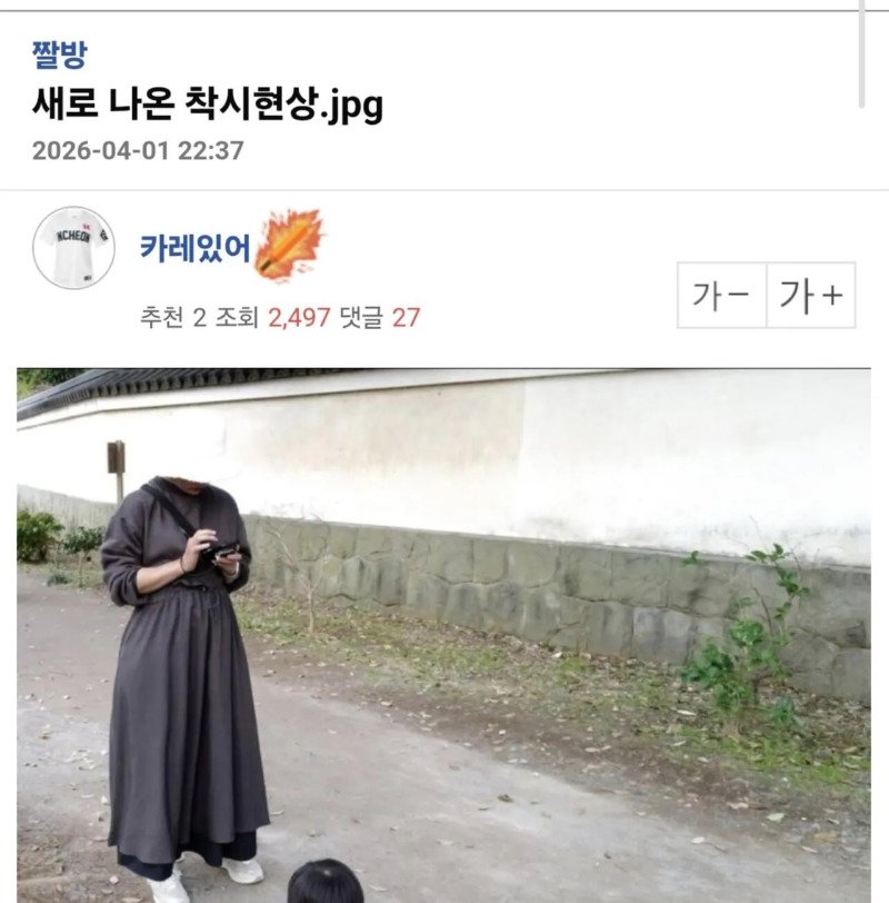 새로운 착시 사진