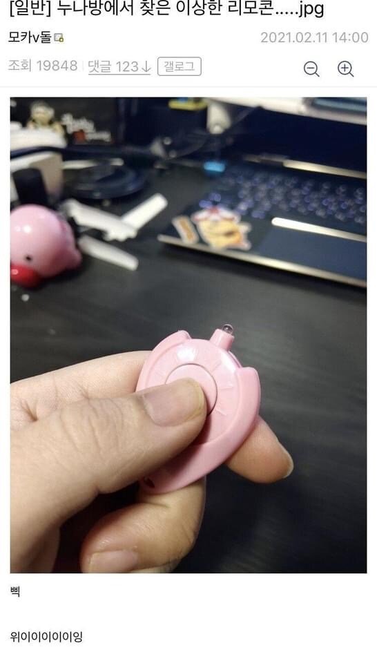 누나방에서 찾은 수상한 리모콘