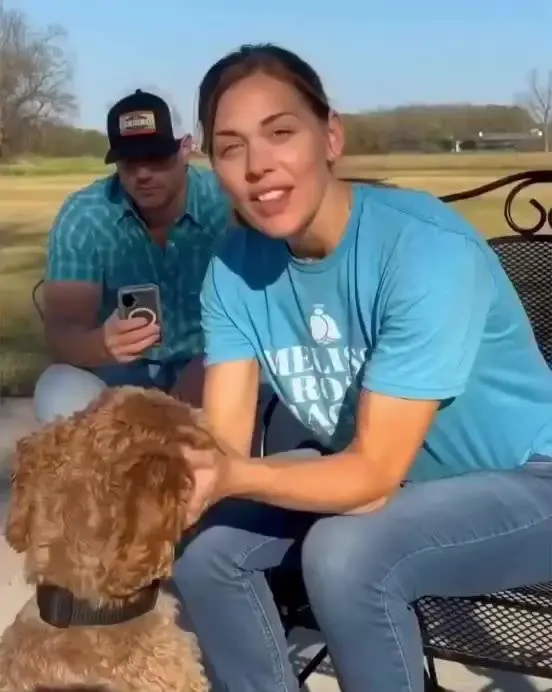 반려동물이 학대 당한적이 있는지 확인하는 법