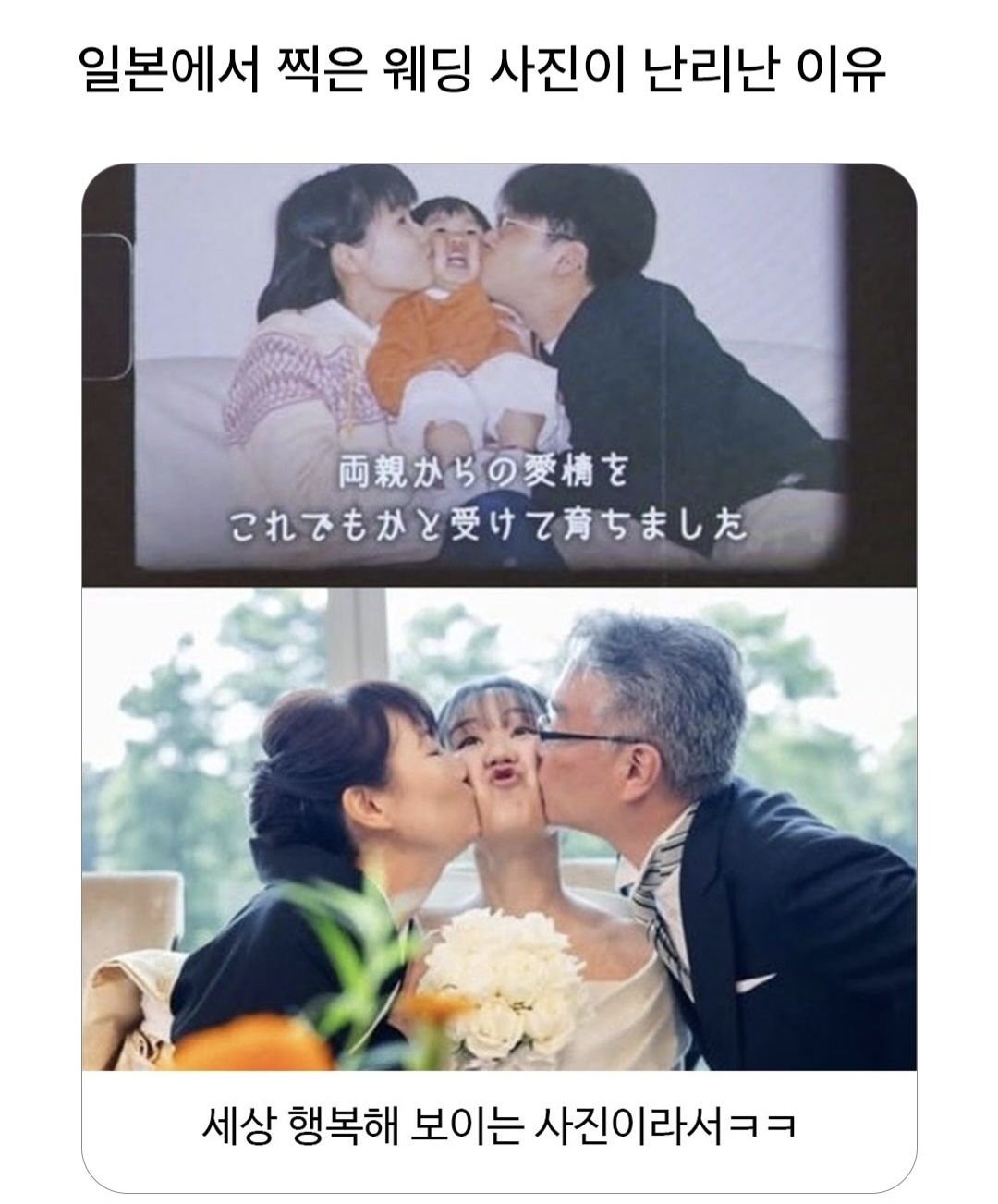 섬나라의 웨딩사진