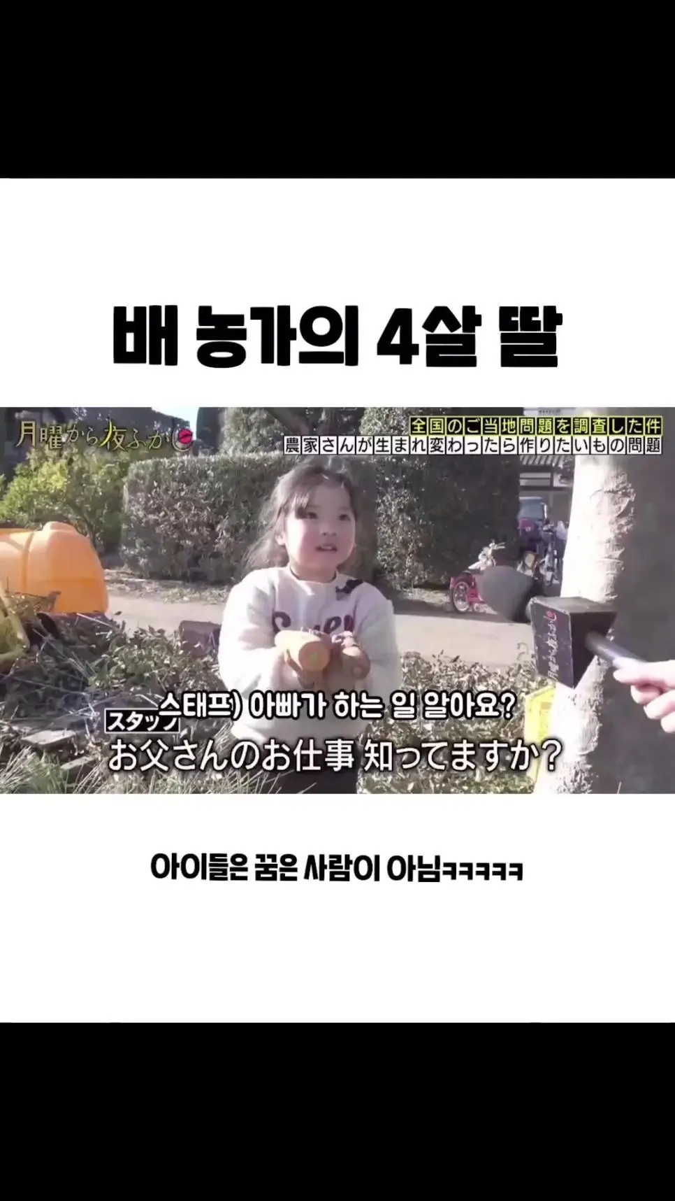 '배' 농가의 4살 딸 ㅋㅋㅋ