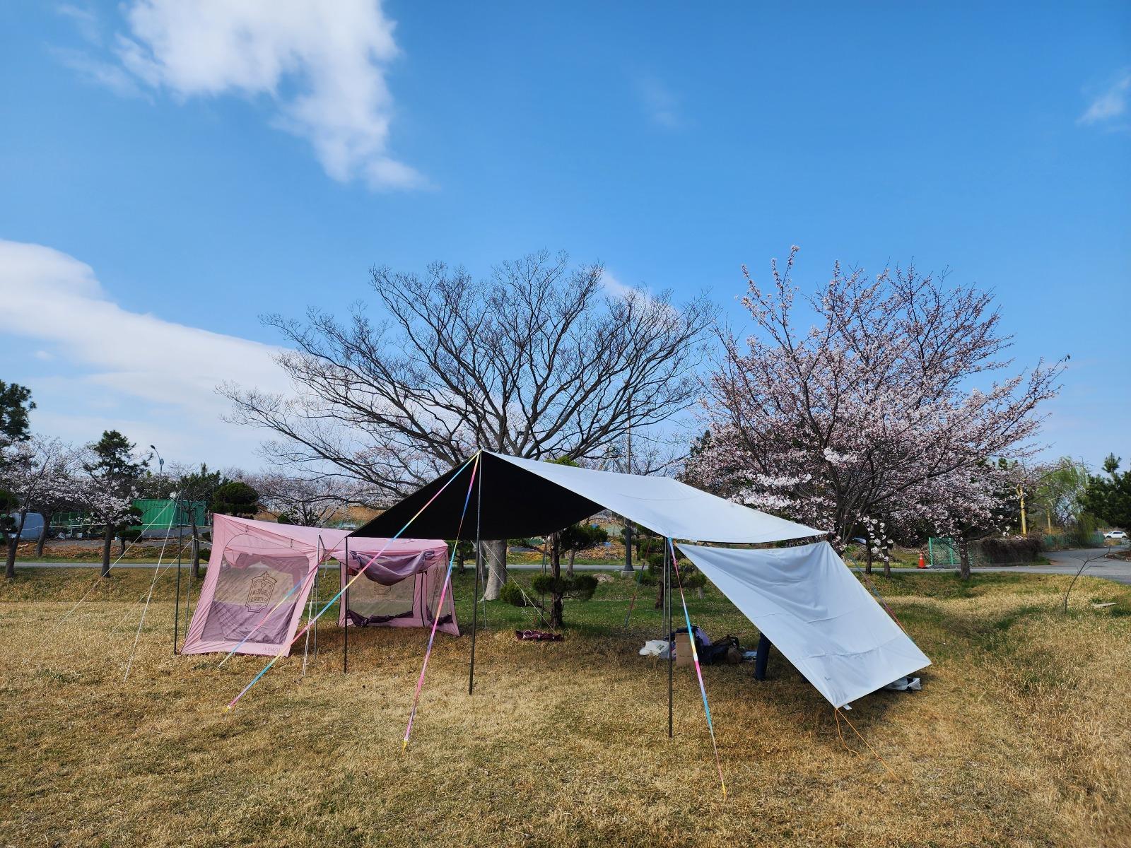 군산 모 세차동호회 야유회 사진