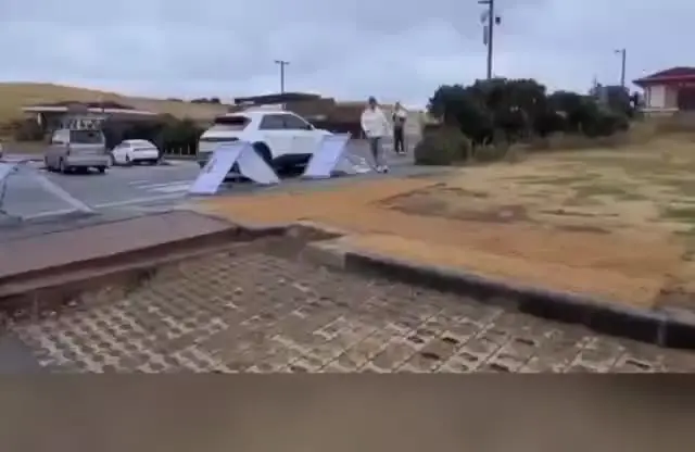 최근 제주도에서 일어나는 일 근황 ㄷㄷ;