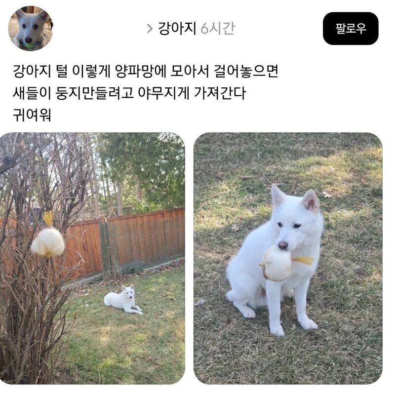 양파망에 개털을 모아두는 이유