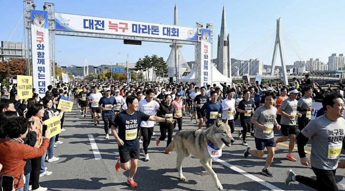 대전의 새로운 여행상품