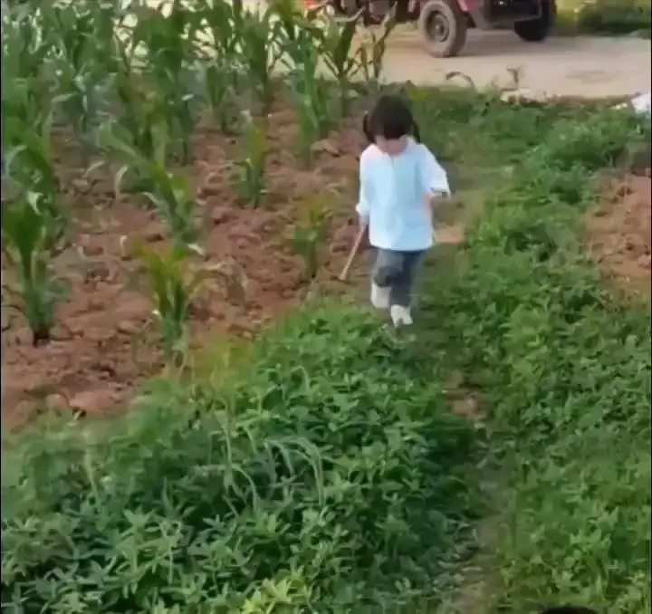 둘다 순간적으로 서로를 잃어버림.mp4