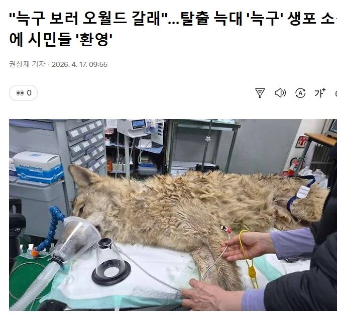 ??? : 그래 이거면 된거야. 나 하나 고생해서 우리 오월드가 잘될수만