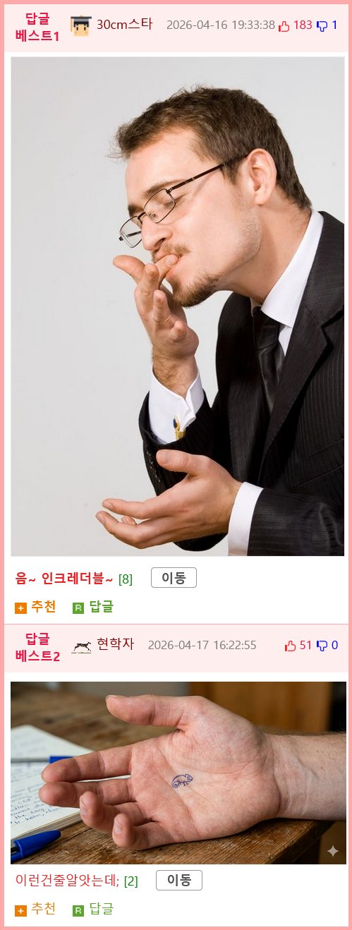 2024년 발견된 신종 카멜레온