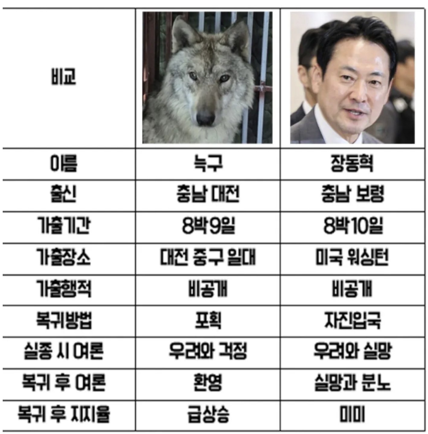 짐승과 인간(?) 의 다른 점