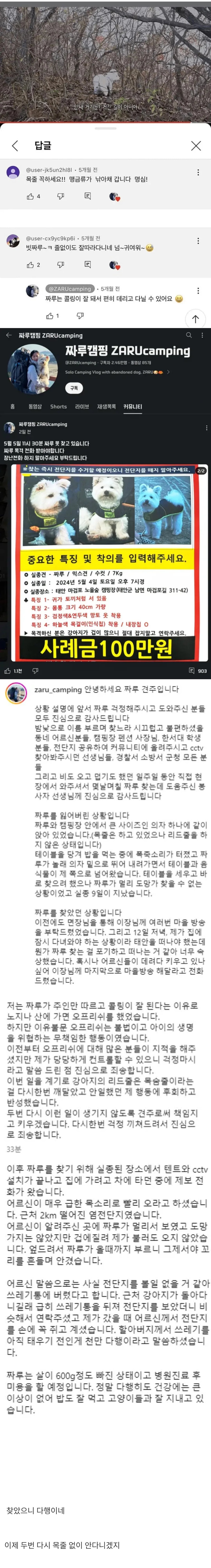 목줄 없이 개와 캠핑하던 유튜버