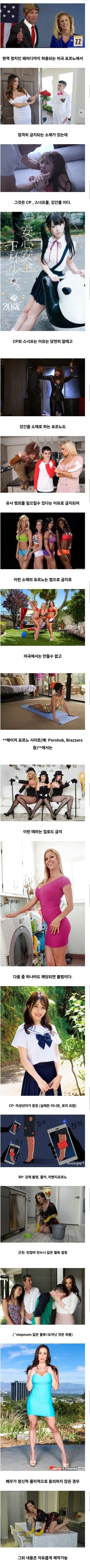 19) 미국에서는 제작 금지인 포르노 장르