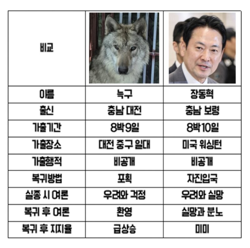 늑구 vs 동혁같은 가출 다른 반응