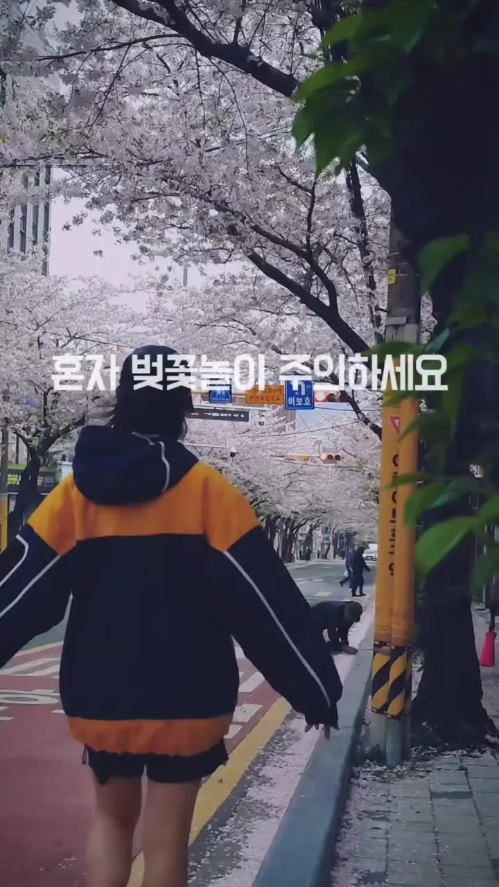 혼자 벚꽃놀이 하는데 나타난 아저씨.mp4