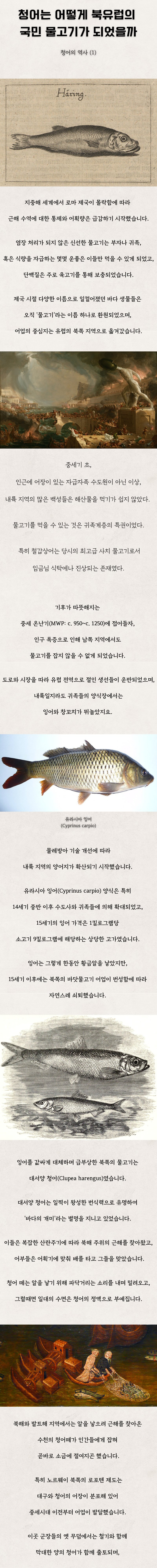 청어는 어떻게 북유럽의 국민 물고기가 되었을까