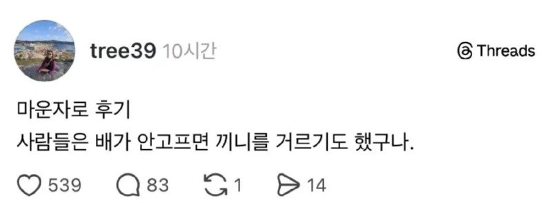 마운자로 한 줄 후기