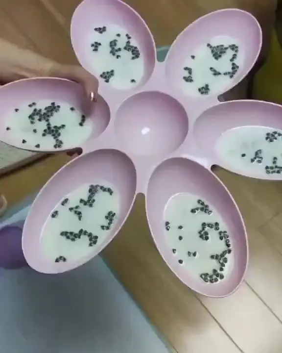 새끼 고양이들 식사 시간