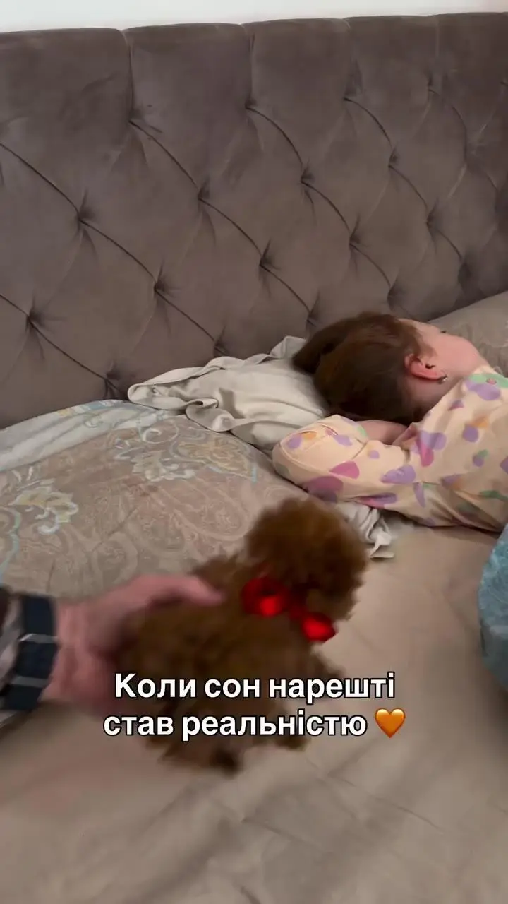 똥강아지와 아기 근황