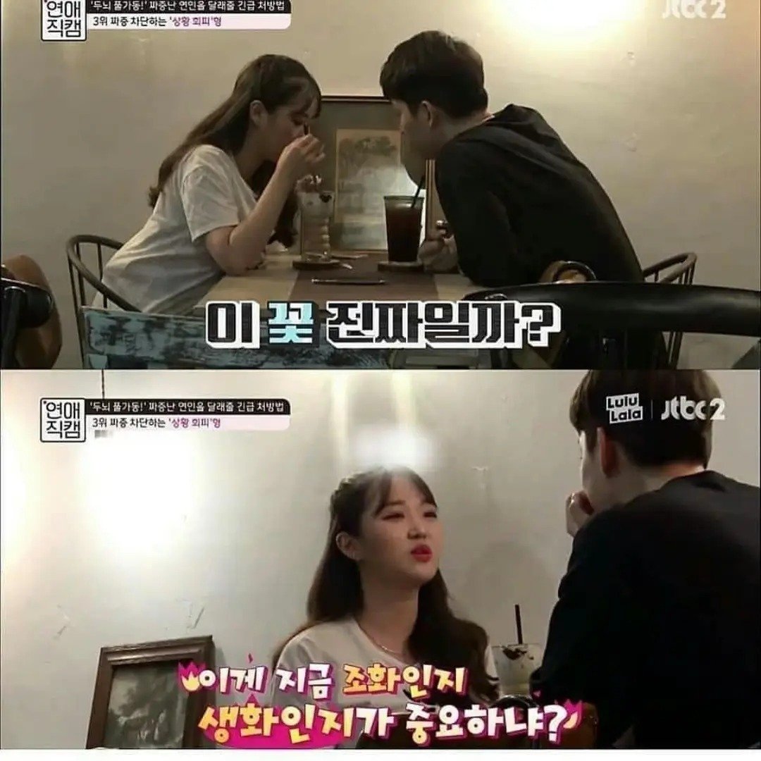 조화 아주 조화