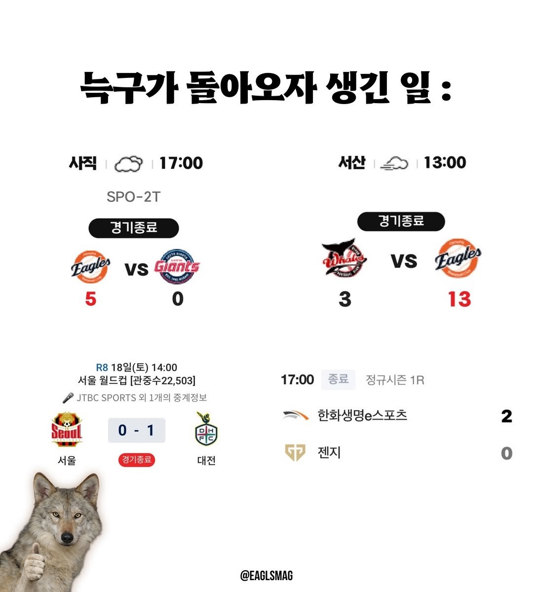 늑구가 집에오자마자 생긴일