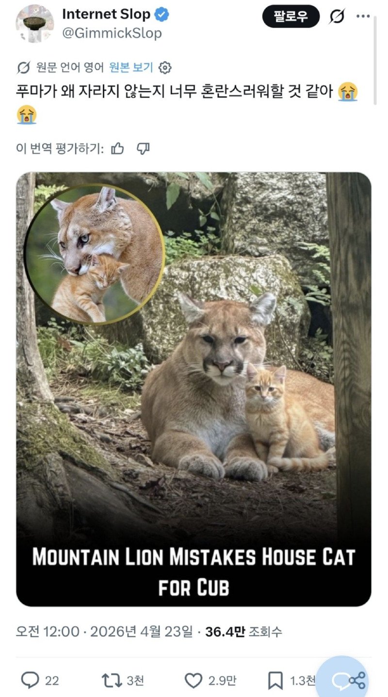 새끼가 왜 안 자라는지 걱정 되는 어미