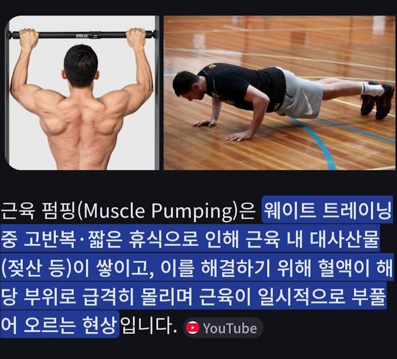 헬스 근육펌핑 원리.jpg