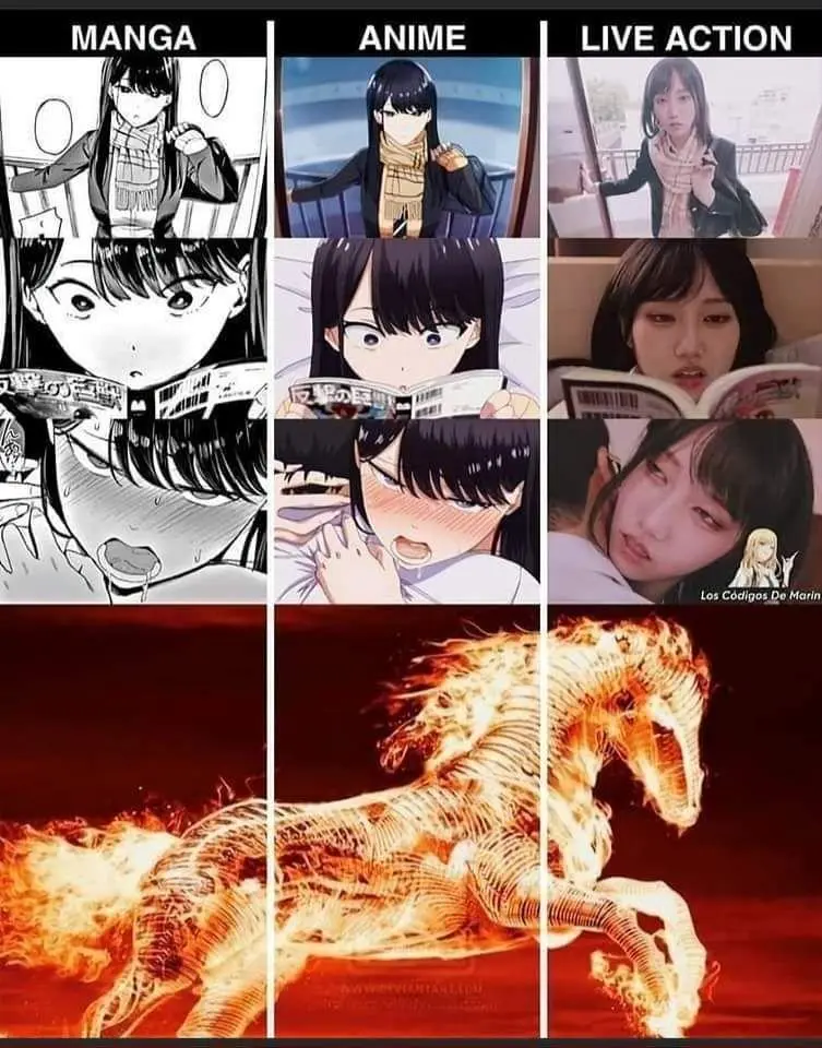 용두용미 대표적인 예.png