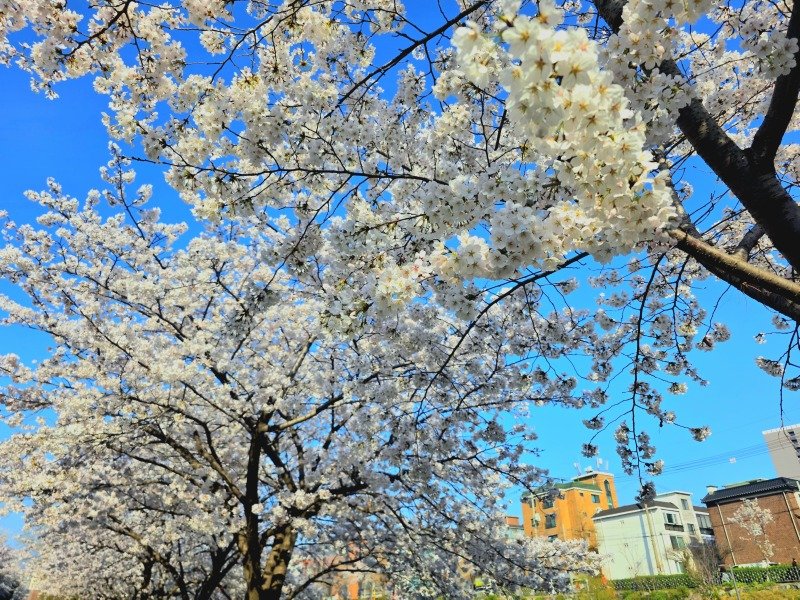 등산로가 만들어지는과정.jpg