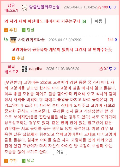 냥줍했는데 빼앗겼다.mp4