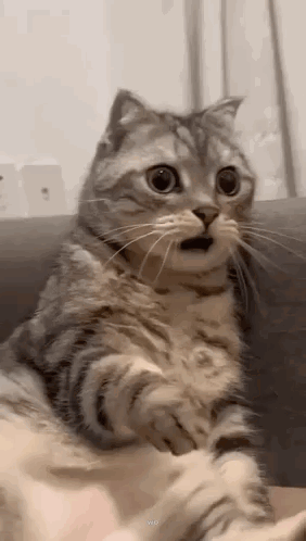 00-1.gif