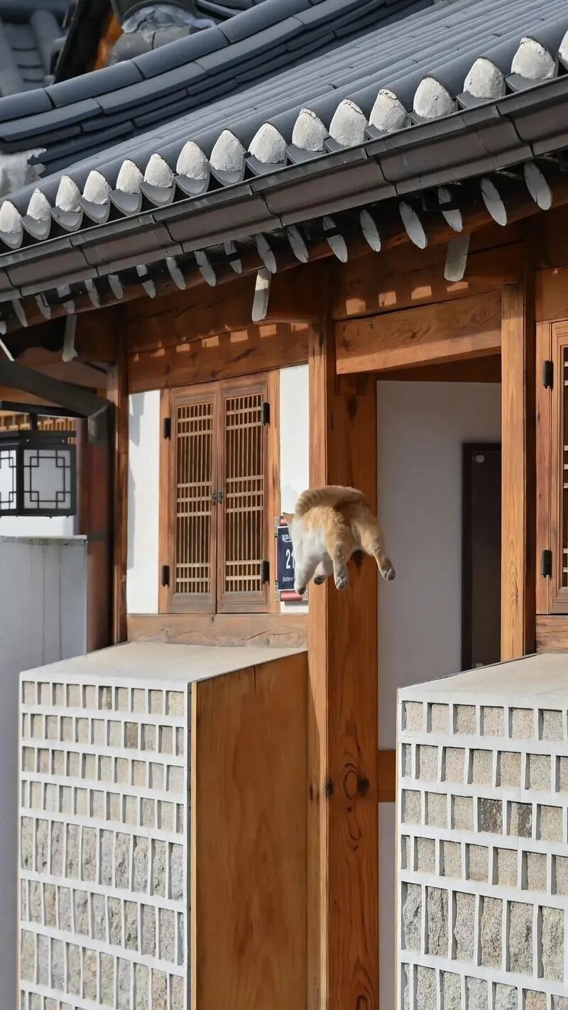 대만 관광객이 찍은 한국 북촌 사진