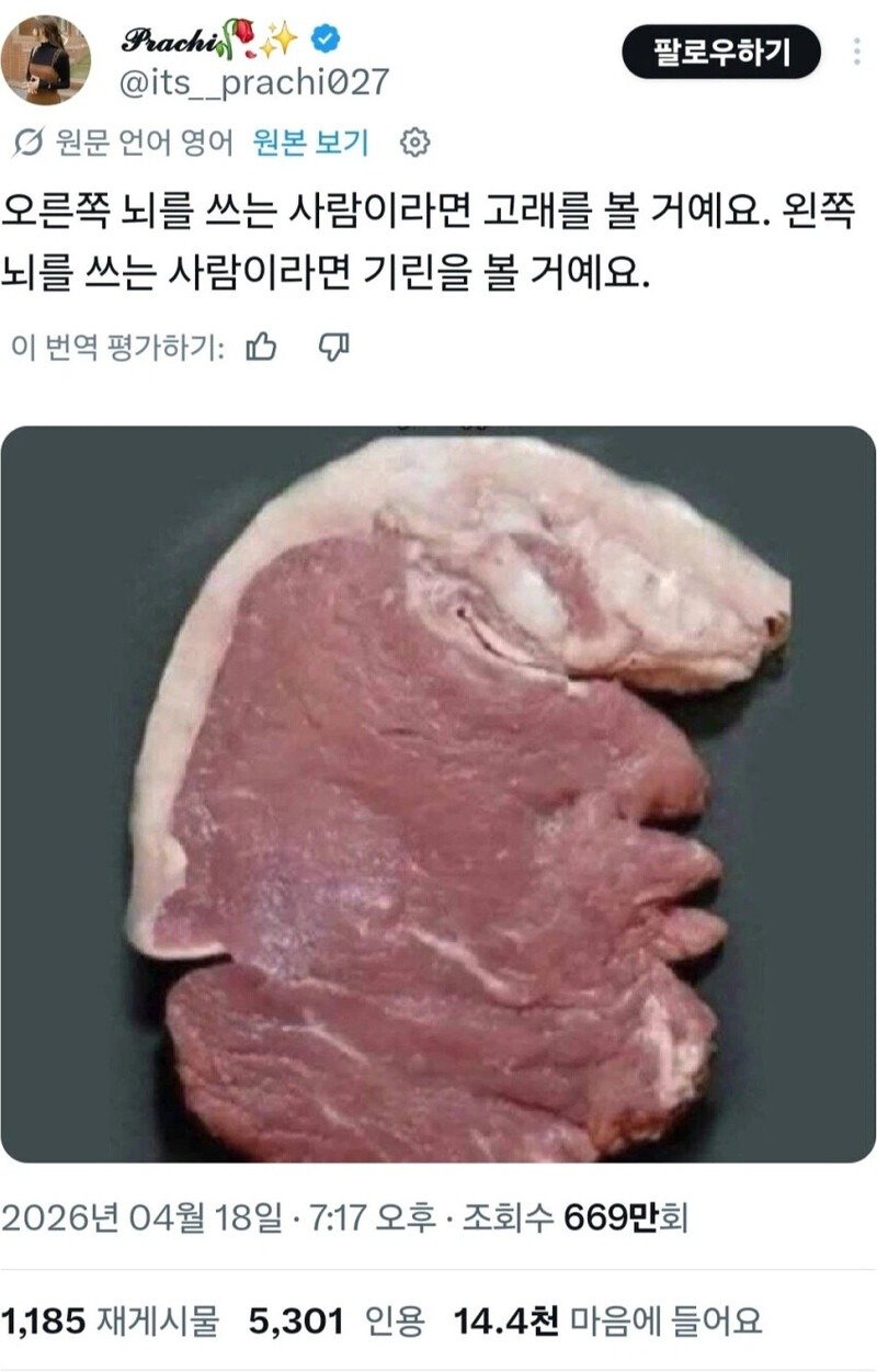 각각 좌뇌 우뇌를 쓰는 사람들이 다르게 보는 사진