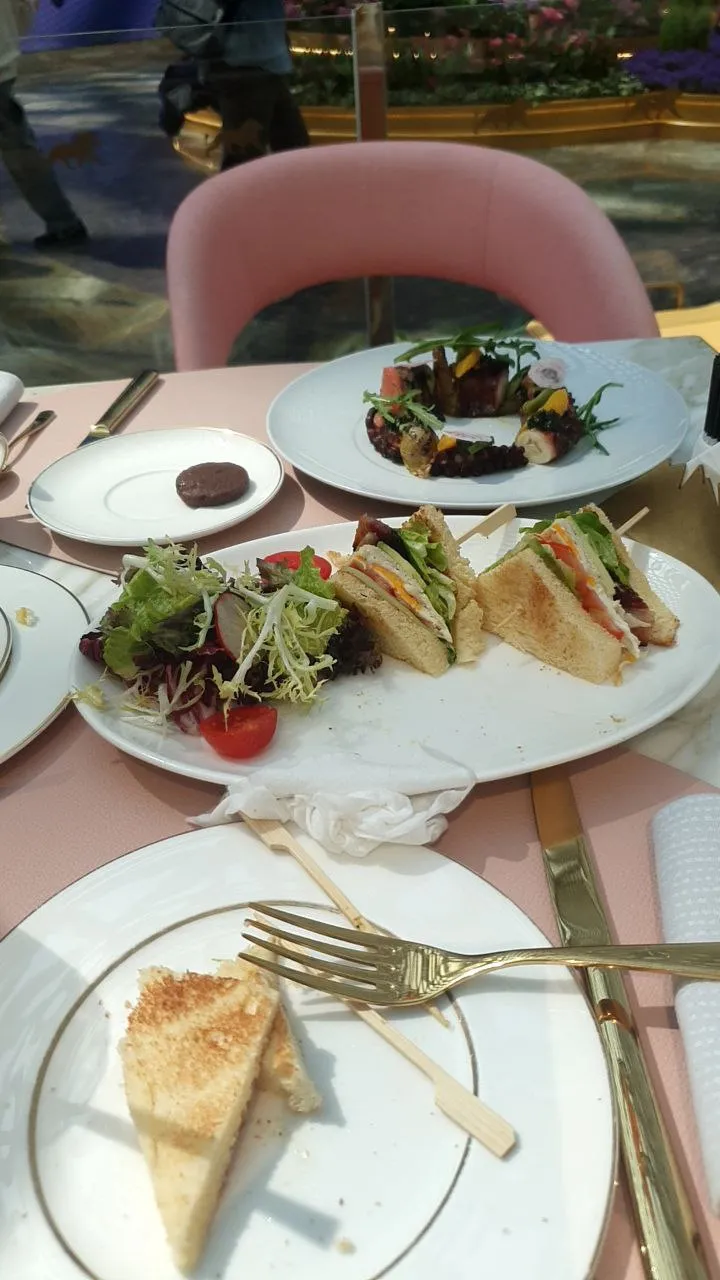 문어 샐러드 280불정도 하는데 강추